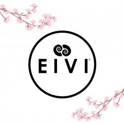 logo EIVI