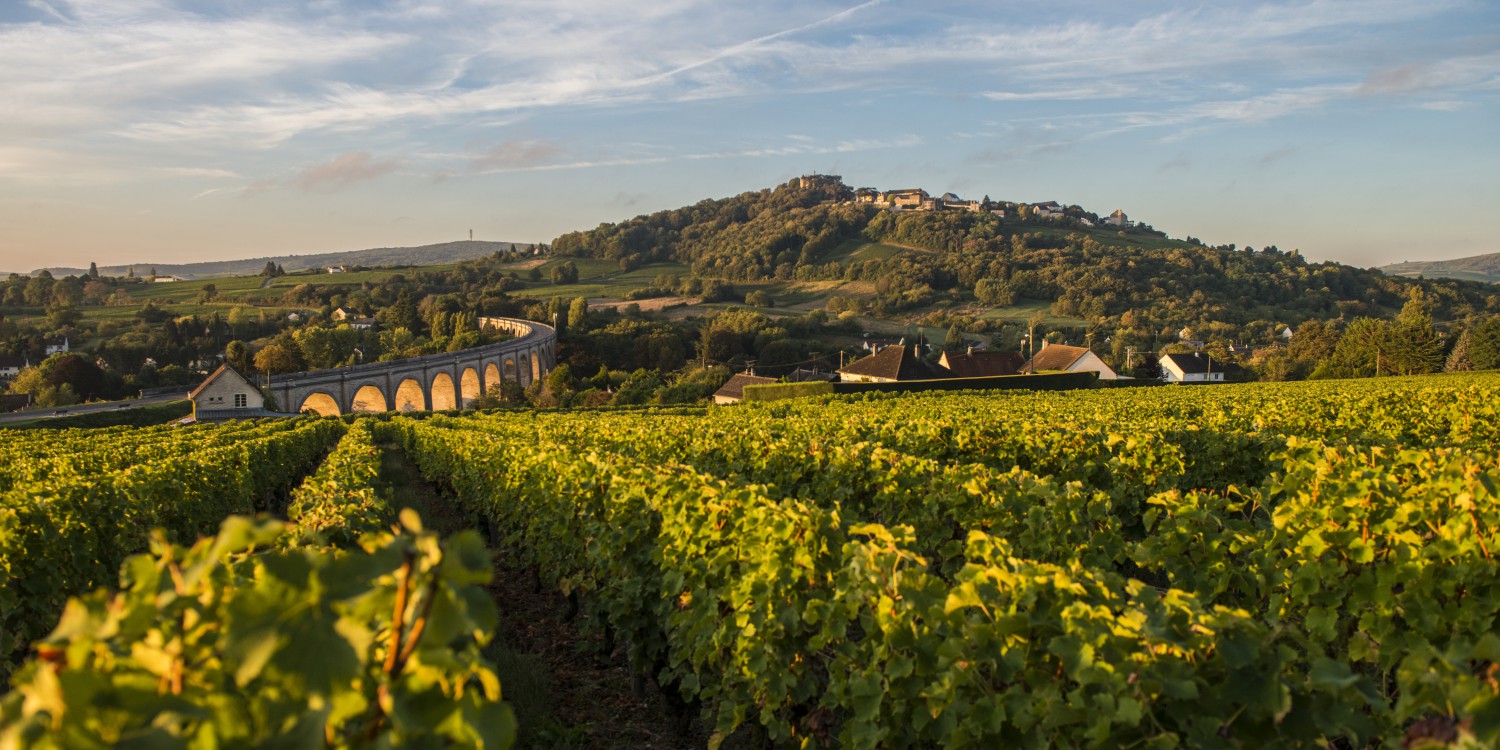 header Domaine Gérard Fiou