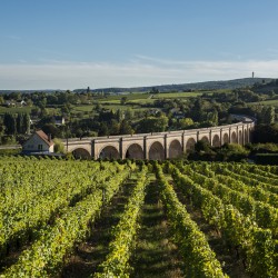 Domaine Gérard Fiou