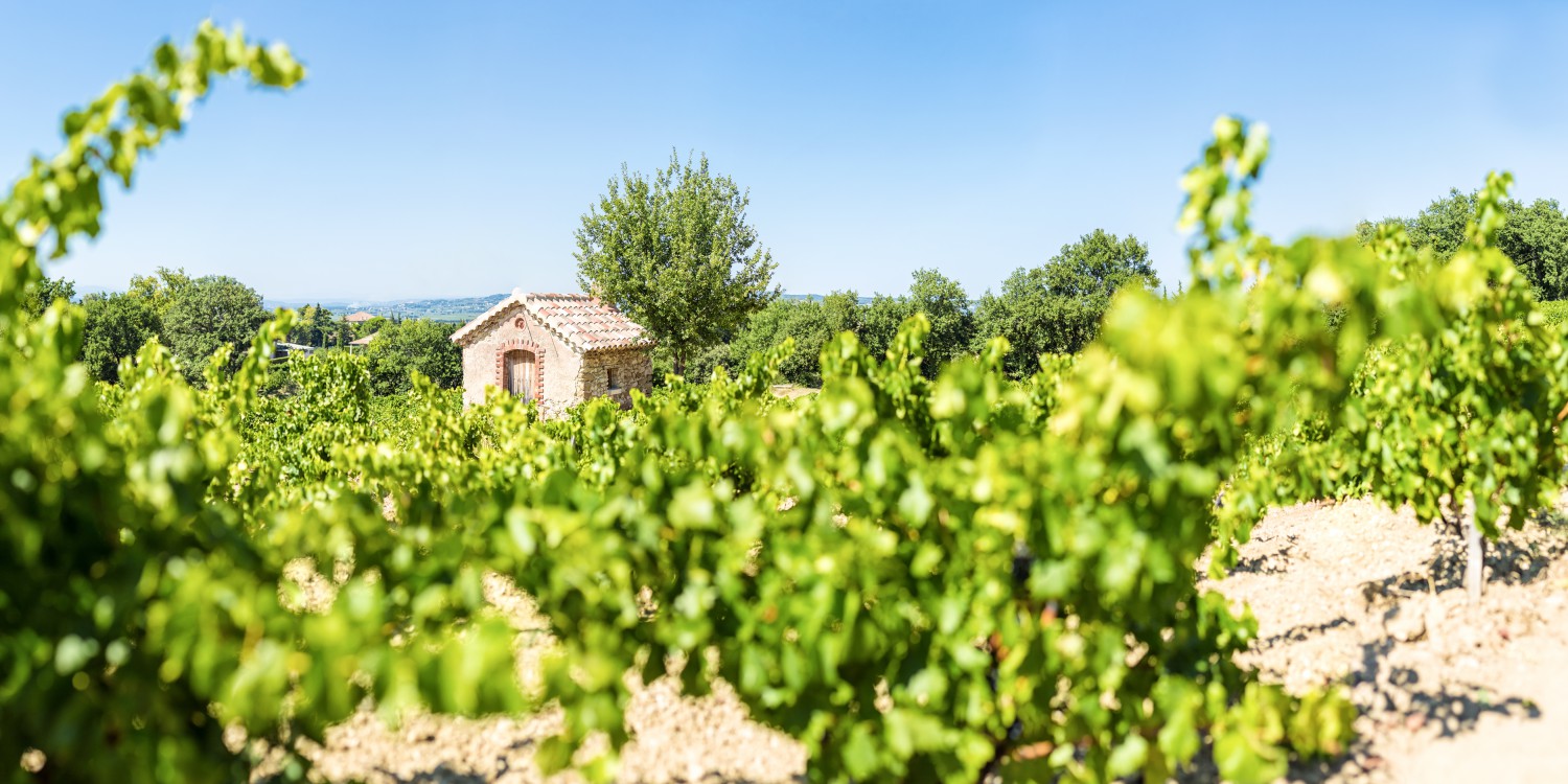 L'Oustalet Wine & Spirits