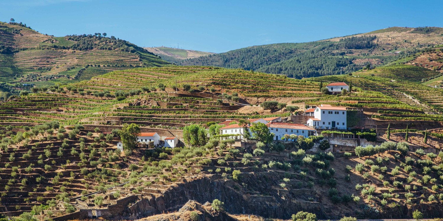 header Quinta da Boavista