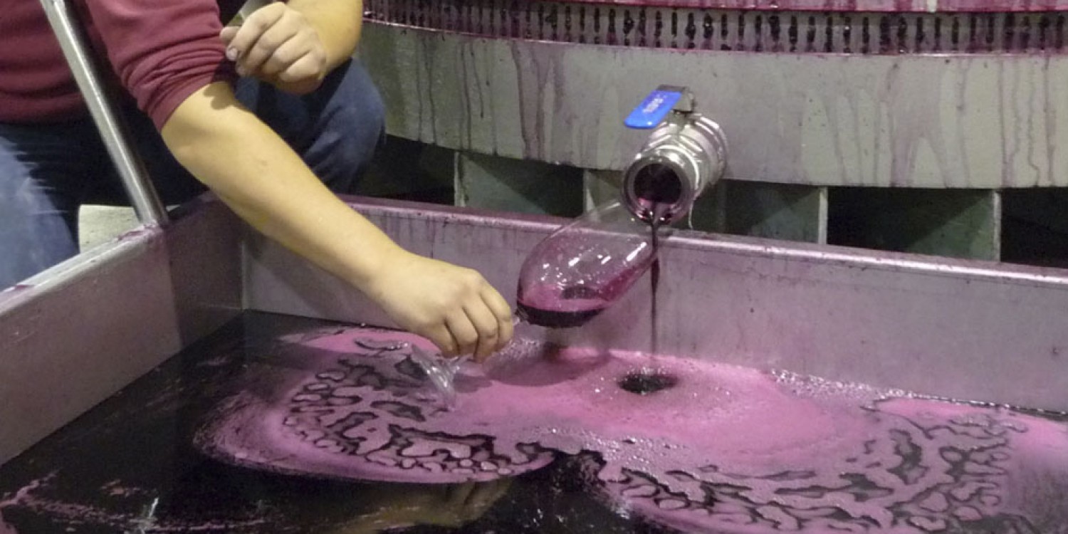 header Bodegas Alto Moncayo