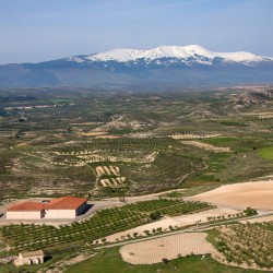 Bodegas Alto Moncayo