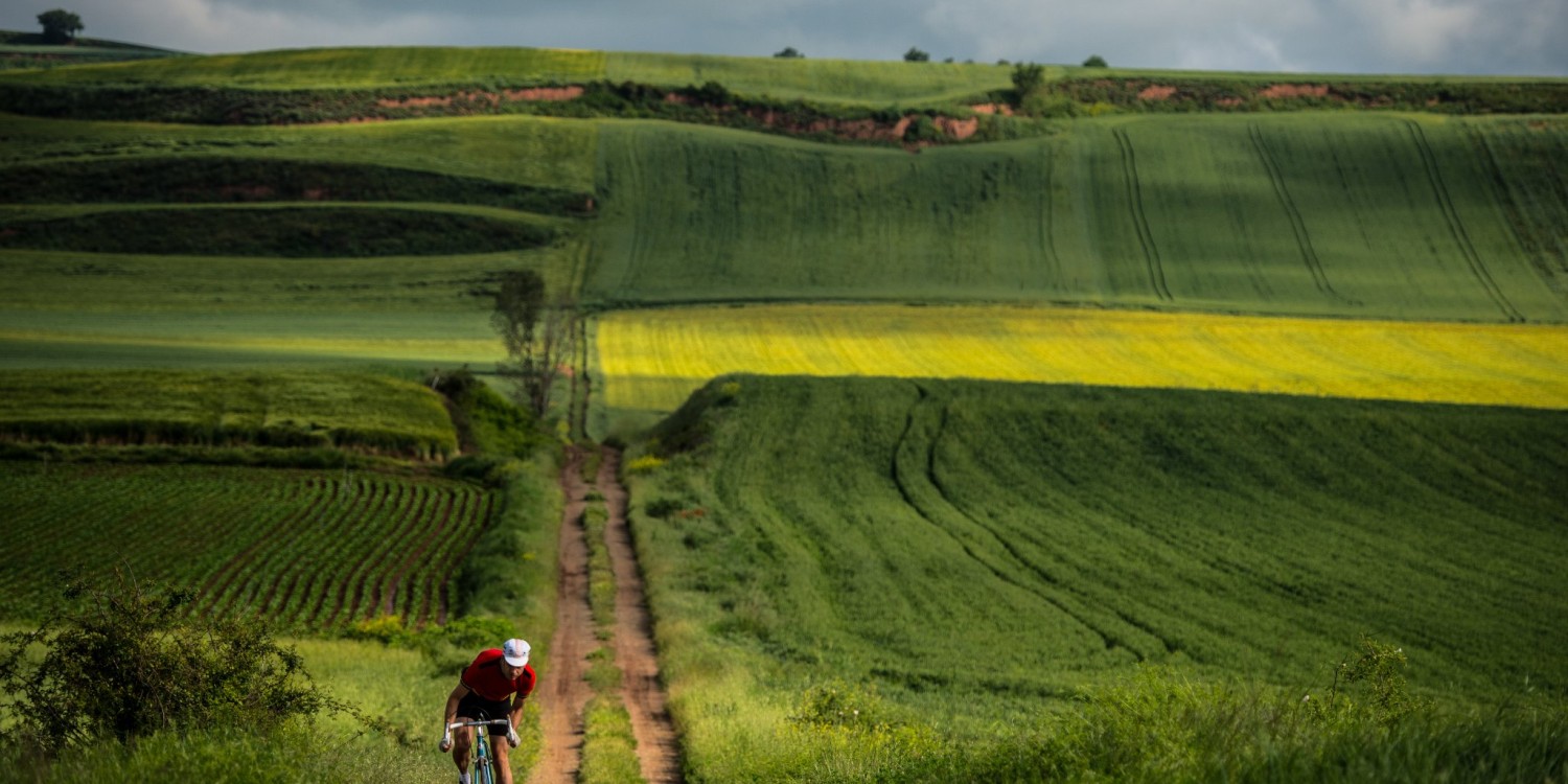 header Bodegas Corral