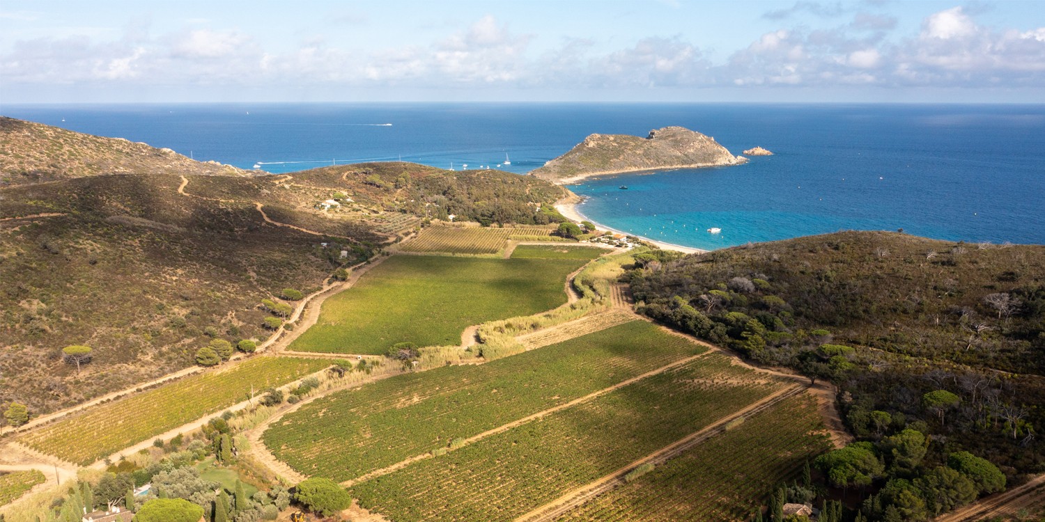 header Domaine de la Croix