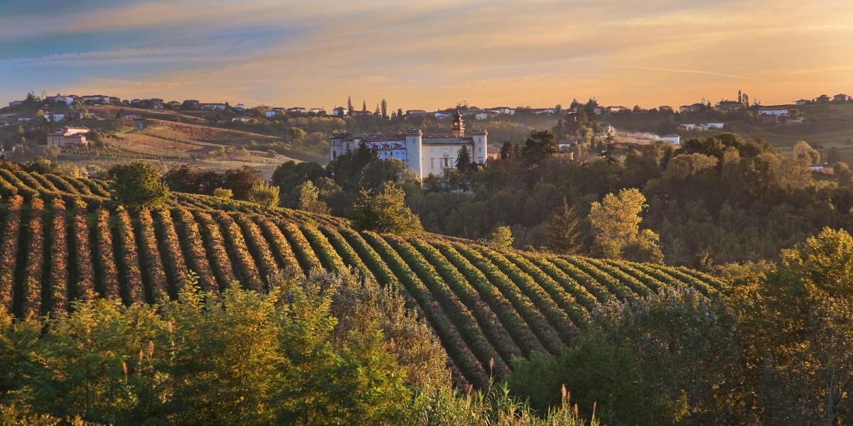 header Tenuta di Biserno