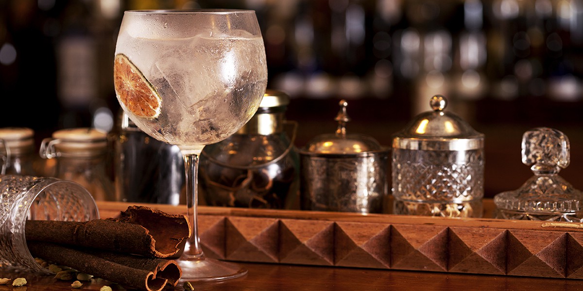 header Sylvius Gin