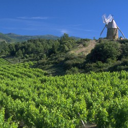 Maison Centaurée