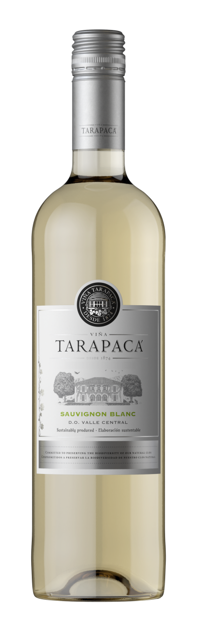 packshot Tarapacá Sauvignon Blanc