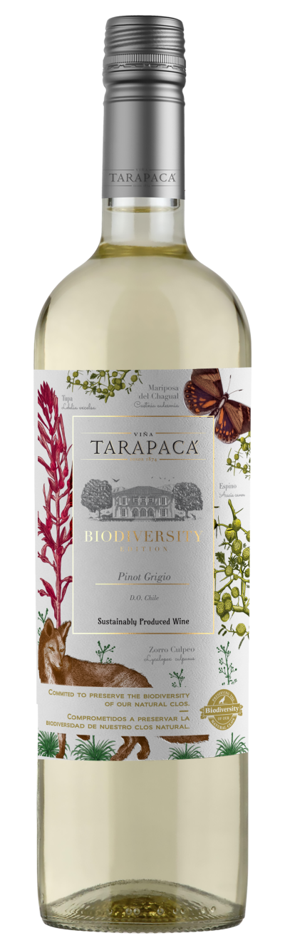 packshot Tarapacá Pinot Grigio