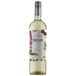 Tarapacá Pinot Grigio