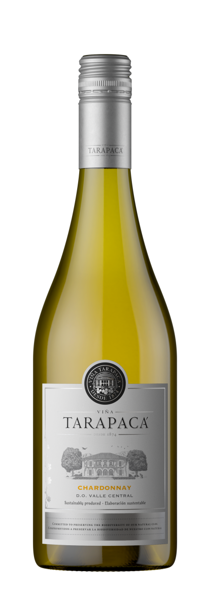 packshot Tarapacá Chardonnay