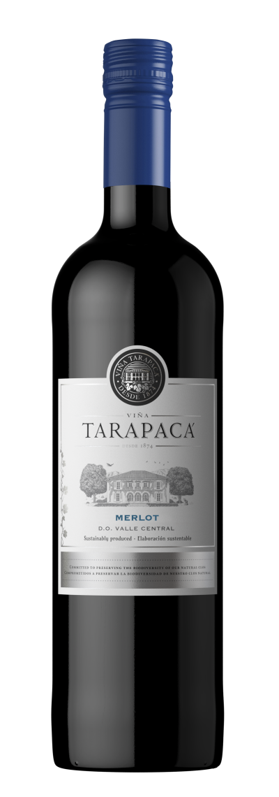 packshot Tarapacá Merlot